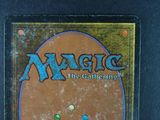 the back of a box of magic the gathering card game
