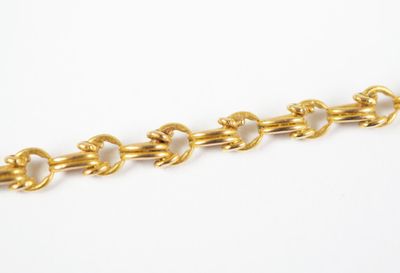 a close up of a gold chain on a white background
