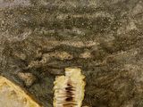 un tableau représentant un ange accroché au mur