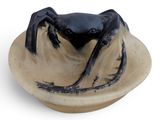 un crabe noir posé sur une assiette, sur un fond blanc