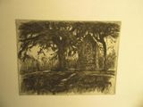 une image représentant un dessin d'une maison dans les bois