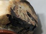 a close up of a burnt piece of wood on a table