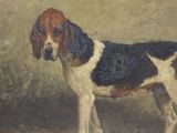 painting of a brown and white dog standing in a dirt field