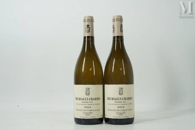 deux bouteilles de vin posées l'une à côté de l'autre sur une table