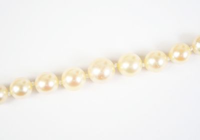 a close up of a strand of pearls on a white surface