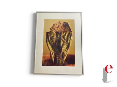 a picture of a picture of a cactus in a picture frame