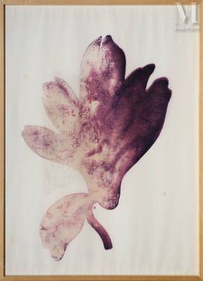 José María Sicilia (né en 1954)