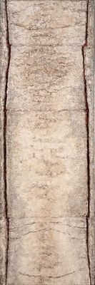 Ce tapis est en laine épaisse et présente un aspect épais et hirsute.