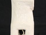 a cat that is inside of a white bag