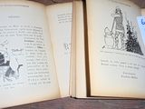 deux livres ouverts, sur lesquels figurent des dessins, posés sur une table
