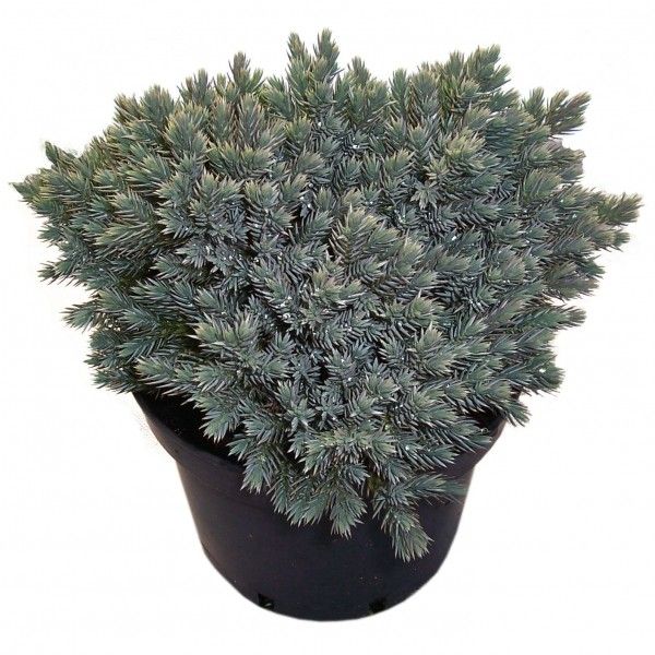 Destockage & Invendus