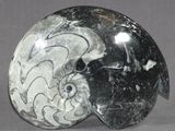 une sculpture en marbre noir et blanc représentant un poisson