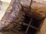 a rusted piece of wood in the middle of a piece of wood