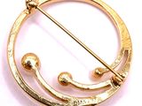 a close up of a brooch with a pin in it