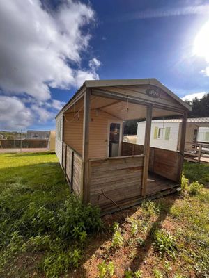 une petite cabane en bois nichée au milieu d'un champ verdoyant