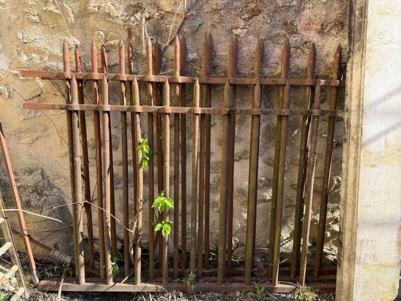 Objets d'art & Curiosités