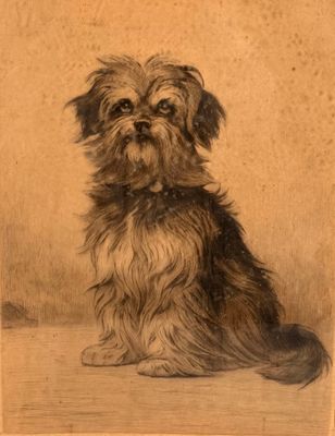 Ferdinand OGER (1872-1929). Terrier, estampe sur papier Japo… - Photo 1
