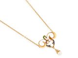 gros plan d'un collier sur fond blanc