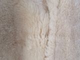 a close up of a teddy bear ' s fur