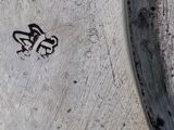 a close up of a silver plate with a bird on it