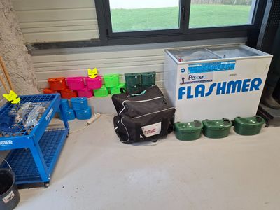 congélateur bac FLASHMER - UNIQUEMENT EN PRESENTIEL