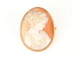 an image of a woman ' s profile is shown in a gold - plated broocher