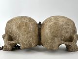 two skulls are sitting next to each other on a white surface