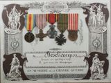 a picture of a picture of a military medal display