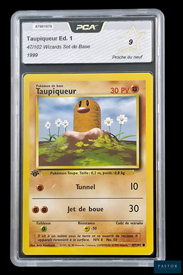 une image représentant une carte Pokémon sur laquelle figure une pomme de terre
