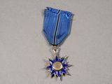 a blue and silver medal with a star on it