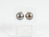 a pair of tahiti pearl earrings