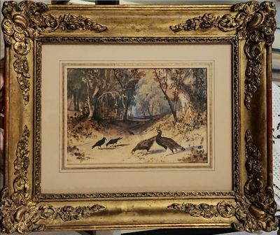 une photo d'une photo représentant deux oiseaux dans les bois