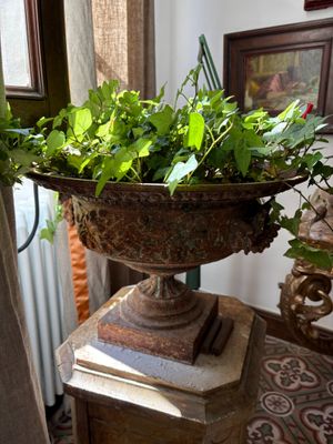 a plant that is sitting in a vase on a table