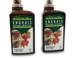 deux bouteilles de boisson aux fraises, ornées de fraises