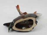 a fish that is laying on the ground with its mouth open