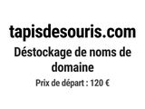 Photo 1/1 du lot