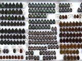 many beetles on display in a white display case