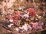 un bouquet de fleurs posé sur une table