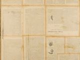 a picture of an old newspaper with many pages on it