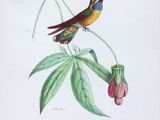 a bird that is sitting on a plant with a flower
