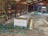 a lot of plants growing inside of a barn