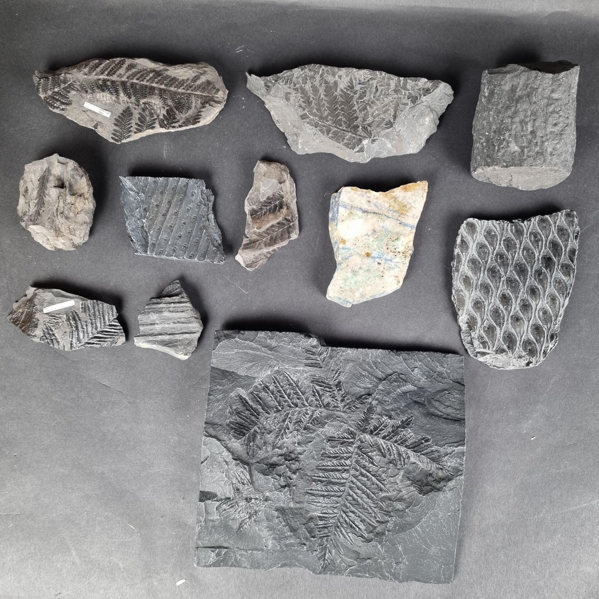 Objets d'art & Curiosités