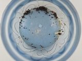 an overhead view of a blue glass with dirt in it