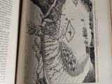an open book with a drawing of a woman on it