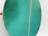 a close up of a person holding a green circular object in their hand