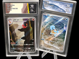 deux cartes Pokémon exposées sur un fond noir