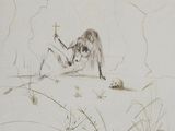 a drawing of a woman reading a book in the grass