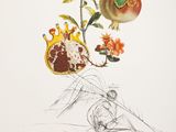 an illustration of a pomegranate and a flower on a table