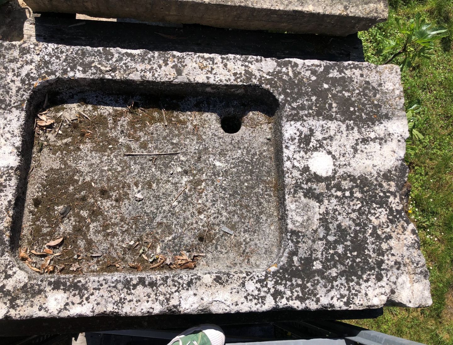 Objets d'art & Curiosités