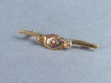 an image of a gold tie bar with a red, white, and blue design on it
